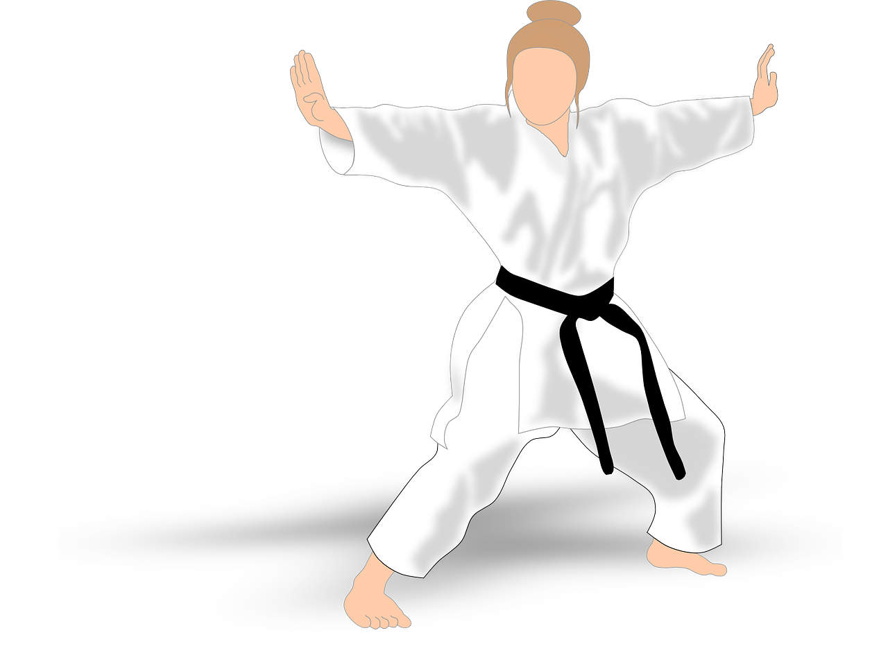 kata, karate, martial arts-155283.jpg
